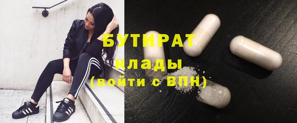 прущие грибы Медвежьегорск