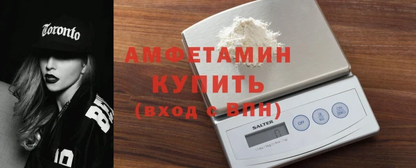 прущие грибы Медвежьегорск