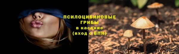 экстази Медногорск