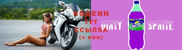прущие грибы Медвежьегорск