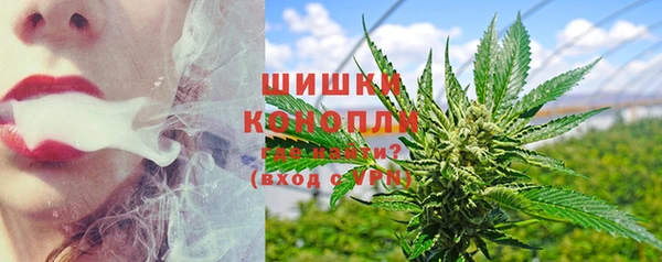 прущие грибы Медвежьегорск