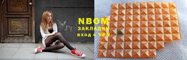 прущие грибы Медвежьегорск