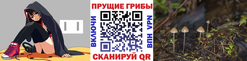 Псилоцибиновые грибы MAGIC MUSHROOMS Купить Колпашево